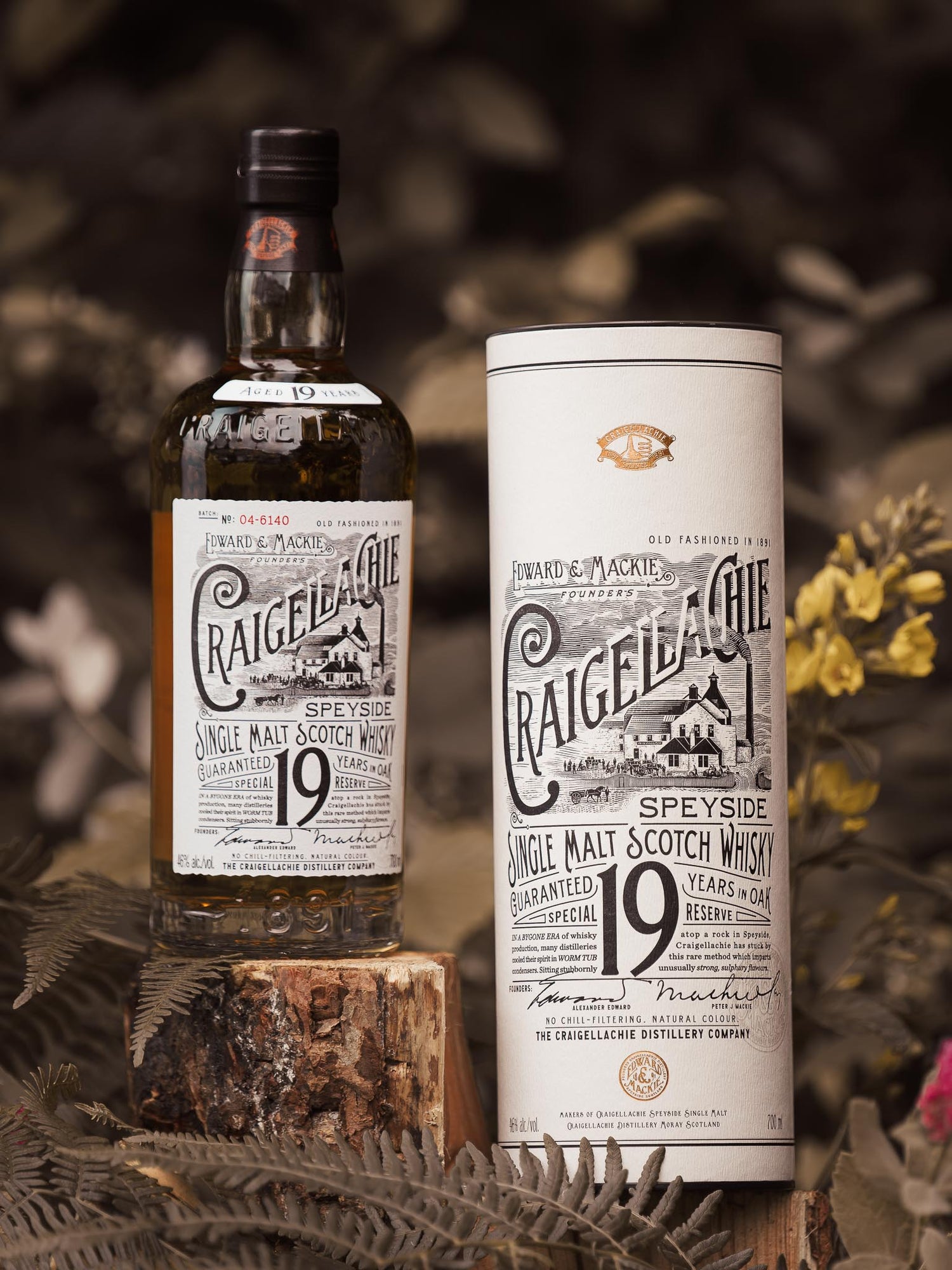 Craigellachie 19 Year Old Whisky