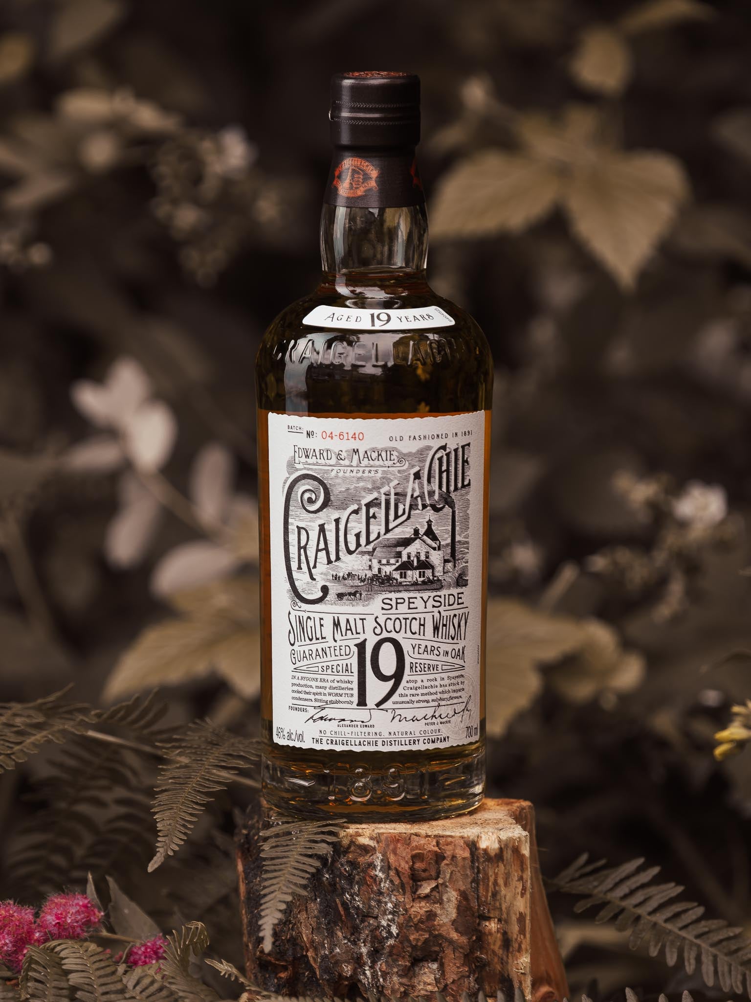 Craigellachie 19 Year Old Whisky