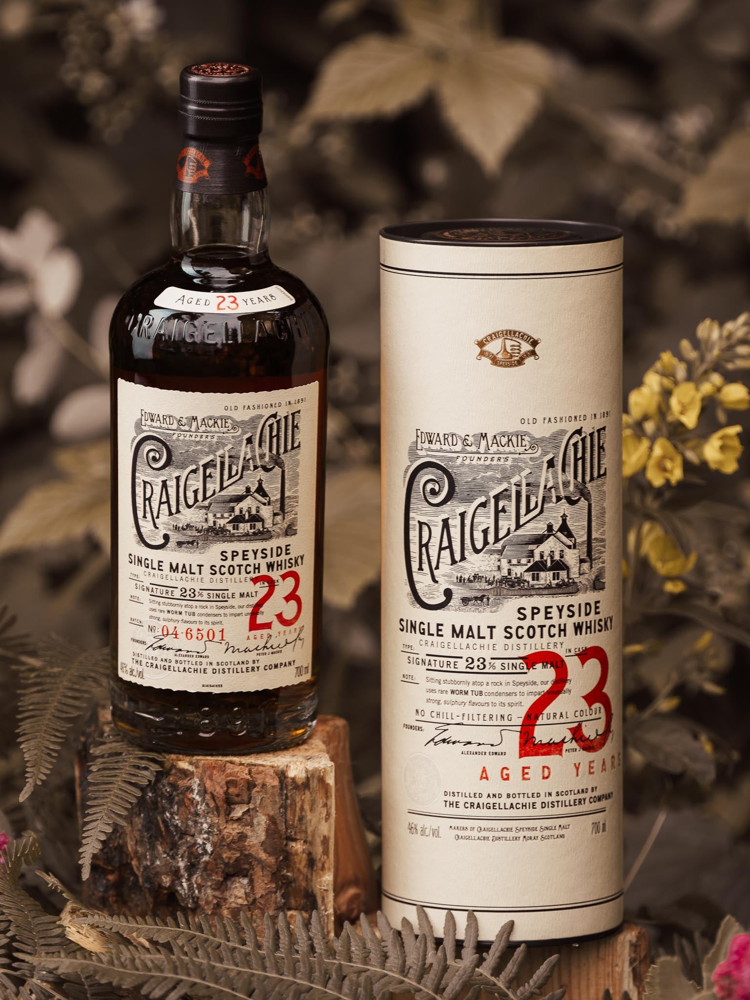 Shop Craigellachie 23 Year Old Whisky | Dewar's Aberfeldy